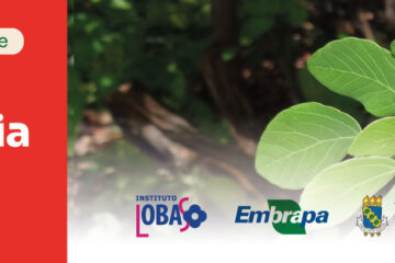 Oficina promove capacitação sobre a cadeia produtiva da Sabiá (Mimosa caesalpiniifolia Benth.)